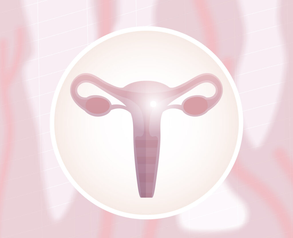 favorecer la implantación embrionaria